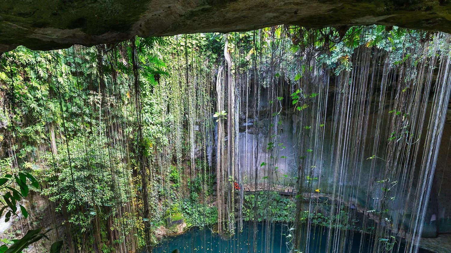 Cenote en la selva de Yucatán